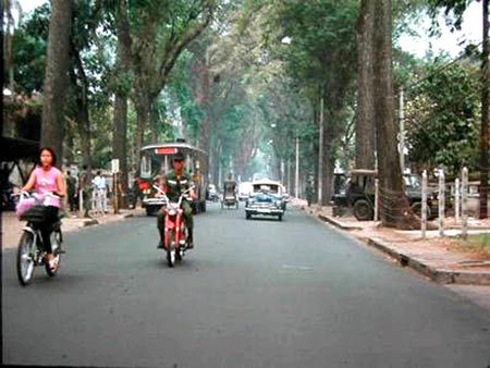 Bạch Hải Đường,giang hồ,miền Nam