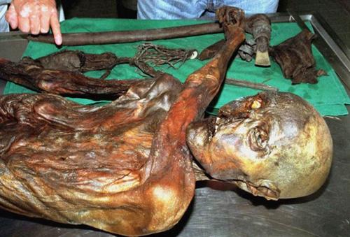 chuyện lạ,chuyện lạ thế giới,chuyện lạ có thật,phi thường,kỳ quặc,Người băng Otzi