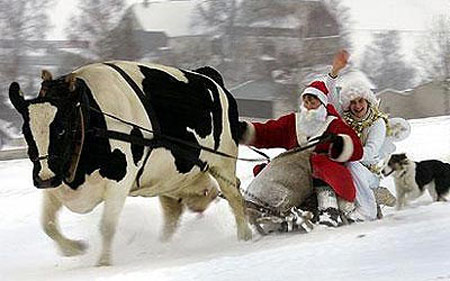 truyện tranh,truyện cười,hài hước,tranh vui,ông già noel