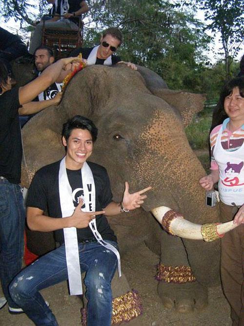 Nam vương Khôi Nguyên,Mister International 2011,người mẫu,tinh nghịch,voi,vui đùa