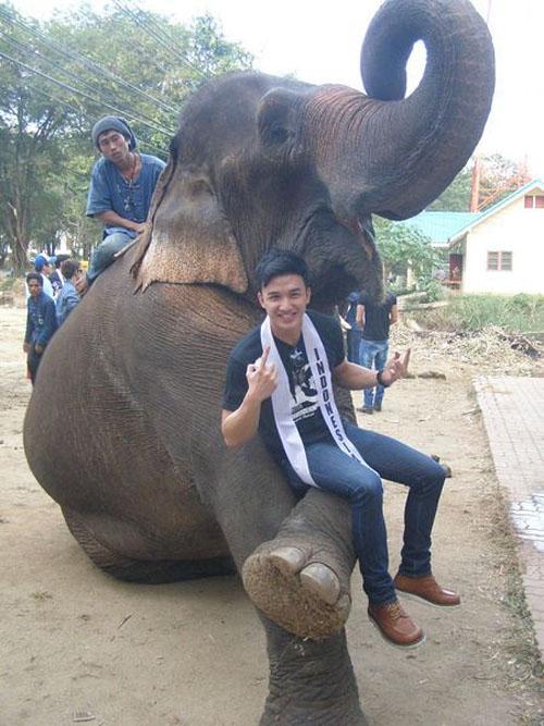 Nam vương Khôi Nguyên,Mister International 2011,người mẫu,tinh nghịch,voi,vui đùa