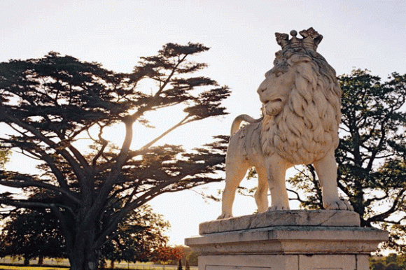 Lyons Demesne,kiến trúc Georgia,công trình,kiến trúc,thiết kế,Ryanair Tony Ryan