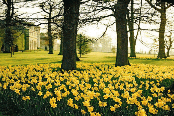 Lyons Demesne,kiến trúc Georgia,công trình,kiến trúc,thiết kế,Ryanair Tony Ryan