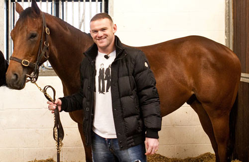Rooney,quỷ đỏ,lắm chiêu nhiều của,vợ,cầu thủ