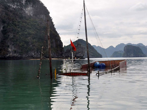 tai nạn,giao thông,năm 2011,tai nạn thảm khốc