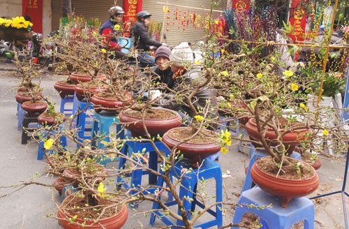 chú tiểu,nhớ mẹ,bài dự thi về tết,bài dự thi 
