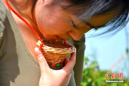 trinh nữ, hái chè bằng ngực, Trung Quốc, quốc tế, thế giới đó đây