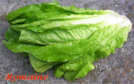phụ nữ, trinh tiết, rau diếp, quốc tế, chuyện lạ, thế giới đó đây