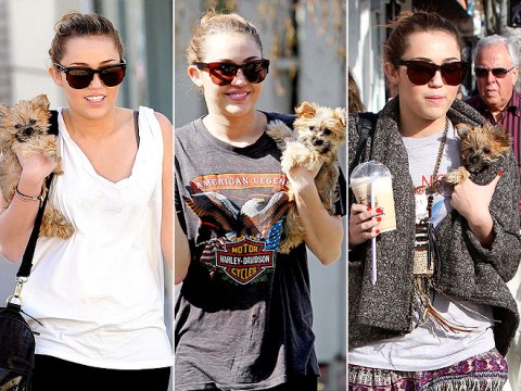 Thời trang sao, Nicole Richie, Kim Kardashian, Miley Cyrus, Jessica Alba, Anna Hathaway