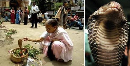 Đám cưới, mối quan hệ kỳ quặc, chuyện lạ, thế giới đó đây