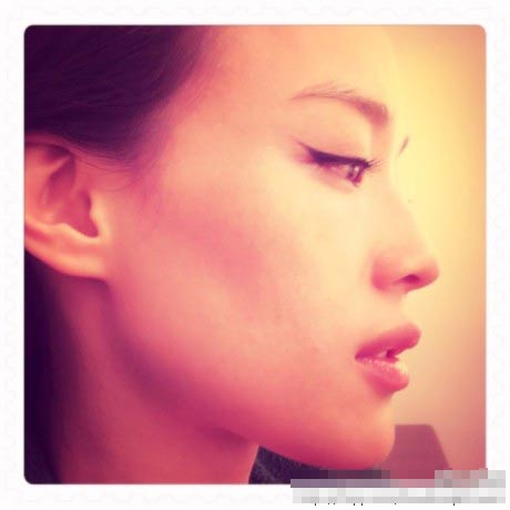 Thư Kỳ, Sao pose hình, Sao Hoa ngữ, Chuyện của sao