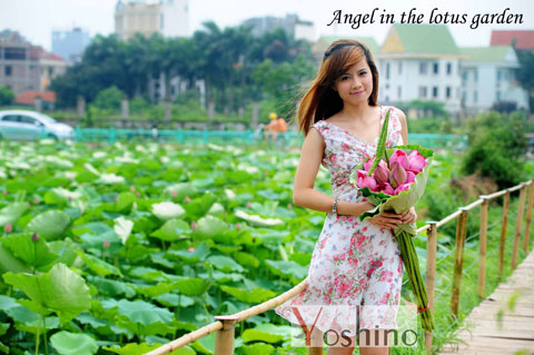 Thời trang Yoshino, Thời trang công sở, Bảo Linh, Váy liền, Thời trang