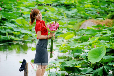Thời trang Yoshino, Thời trang công sở, Bảo Linh, Váy liền, Thời trang