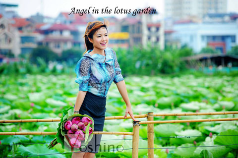 Thời trang Yoshino, Thời trang công sở, Bảo Linh, Váy liền, Thời trang