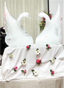 Thanh Ngọc, Sao Việt, Chuyện của sao, Đám cưới sao