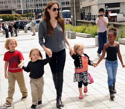 Brad Pitt, Angelina Jolie, Sao Hollywood, Gia đình sao, Chuyện của sao