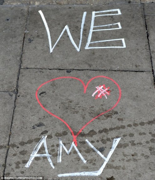 Amy Winehouse, Sao ca nhạc, Chuyện của sao, Sao đột tử