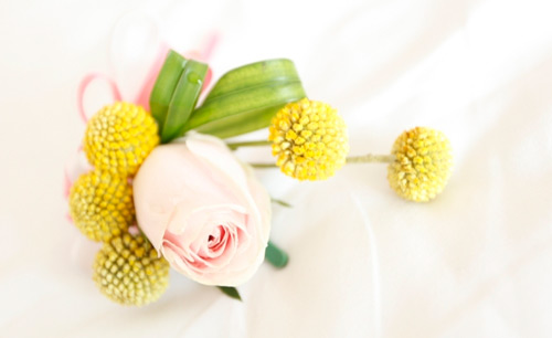Đổng Tuyền, Cao Vân Tường, Sao Hoa ngữ, Đám cưới sao, Chuyện của sao