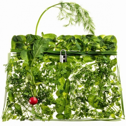 Hermes Kelly, Túi hàng hiệu, Bộ sưu tập túi, Phụ kiện thời trang