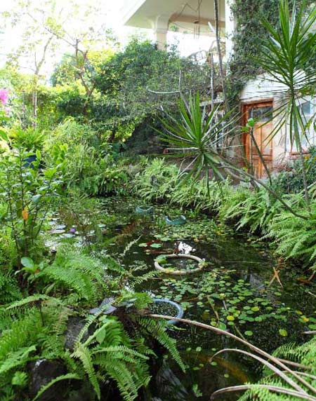 Nhà của Dương Trương Thiên
