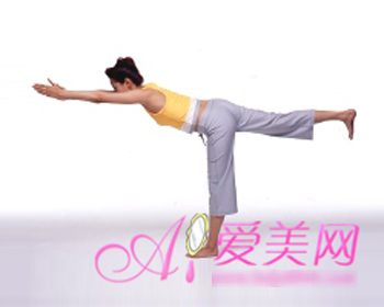 Tập thể dục, Giảm mỡ thừa, Làm đẹp, Tư vấn làm đẹp