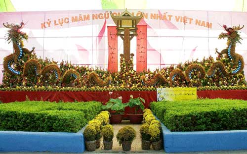 chuyện lạ,chuyện lạ thế giới,chuyện lạ có thật,chuyện lạ việt nam,kỷ lục việt nam