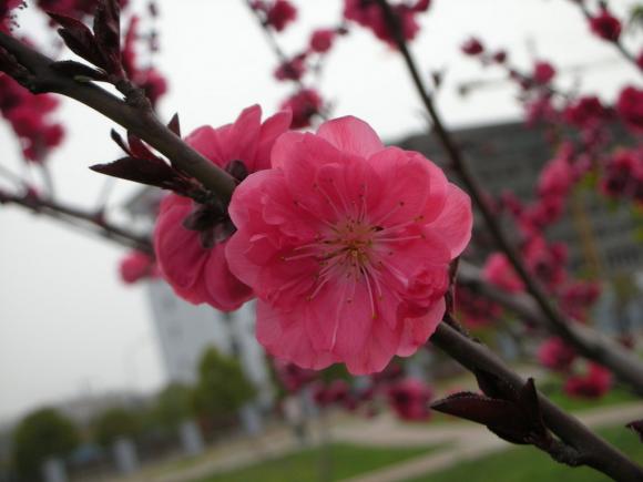 thứ năm,tử vi,giới trẻ,may mắn,đầu năm,Song Ngư,hạnh phúc