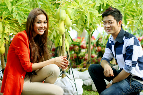 Hoa hậu,Dương Mỹ Linh