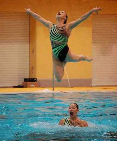 tranh vui,ảnh cười,ảnh hài hước,hài hước,năm 2012