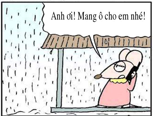 truyện tranh,truyện cười,hài hước,tranh vui,người đẹp