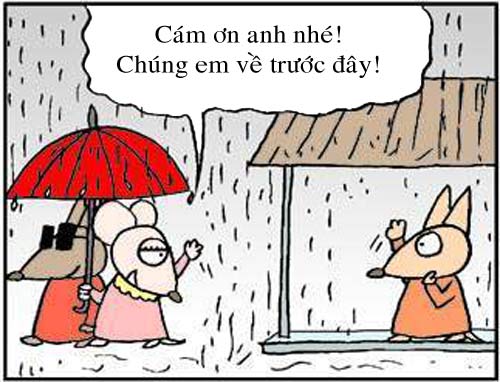 truyện tranh,truyện cười,hài hước,tranh vui,người đẹp