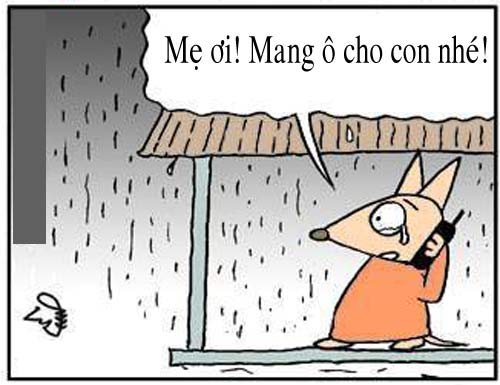truyện tranh,truyện cười,hài hước,tranh vui,người đẹp