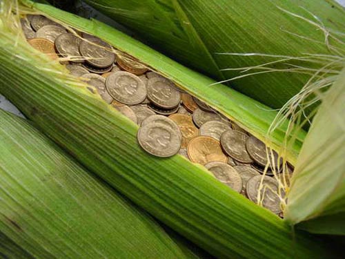 ảnh cười,ảnh vui,ảnh hài hước,biếm họa,thưởng tết
