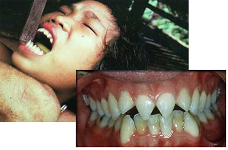Chuyện lạ,chuyện lạ thế giới,phi thường,kỳ quặc,tập tục,bộ tộc Mentawai
