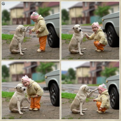 ảnh vui,ảnh cười,thư giãn,hài hước,ảnh tếu,động vật,trẻ em