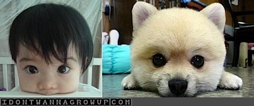 ảnh vui,ảnh cười,thư giãn,hài hước,ảnh tếu,động vật,trẻ em