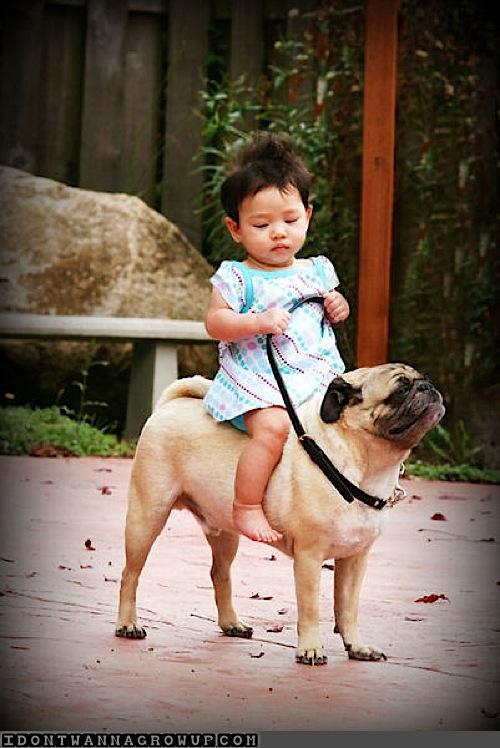 ảnh vui,ảnh cười,thư giãn,hài hước,ảnh tếu,động vật,trẻ em