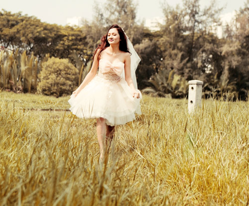 Bảo anh,The voice