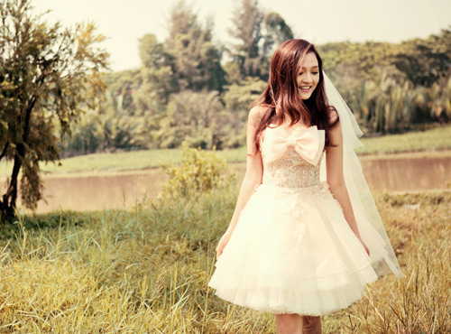 Bảo anh,The voice