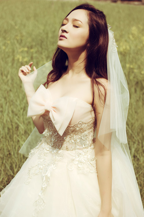 Bảo anh,The voice