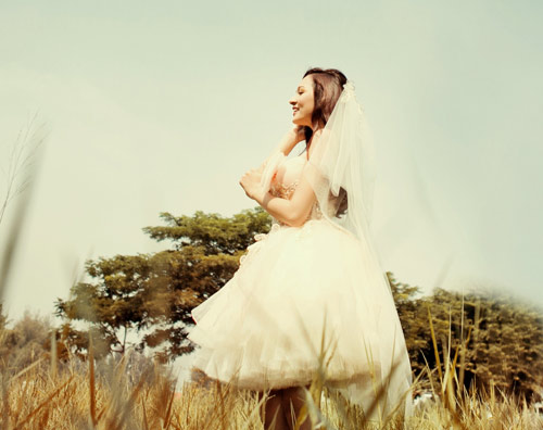 Bảo anh,The voice