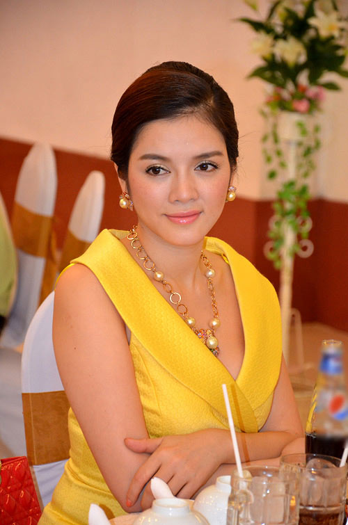 Lý nhã kỳ,Đại sứ Du lịch Việt Nam
