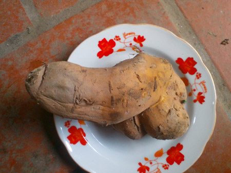 ảnh vui,ảnh cười,thư giãn,hài hước,ảnh tếu
