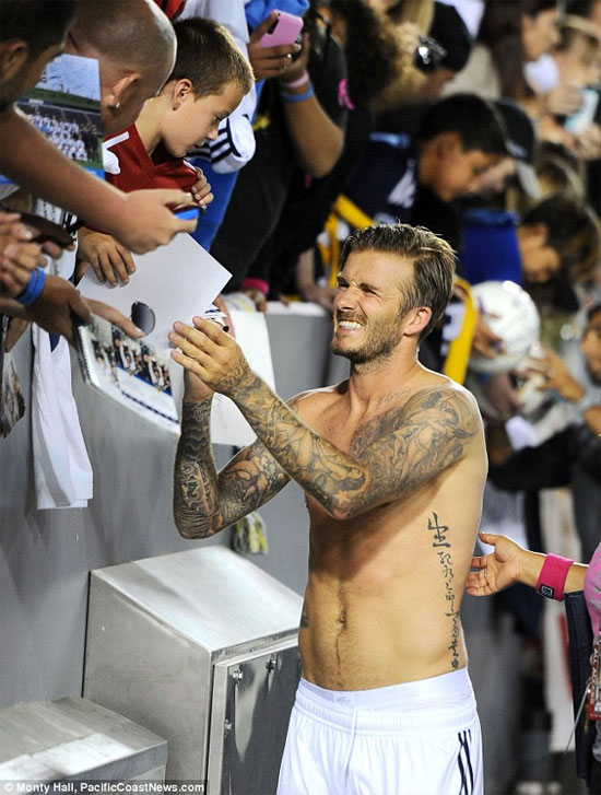 David Beckham,becks
