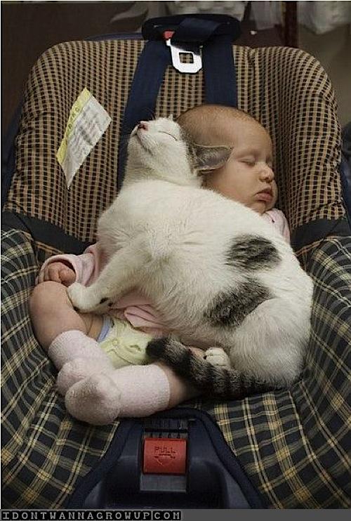 ảnh vui,ảnh cười,thư giãn,hài hước,ảnh tếu,baby