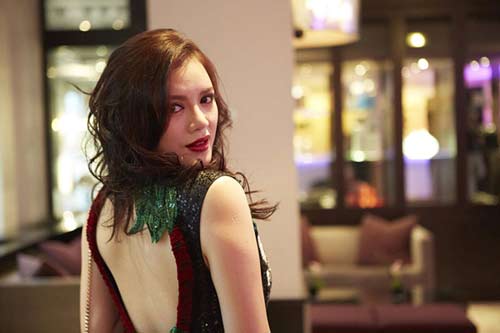 Lý nhã kỳ,Đại sứ Du lịch Việt Nam