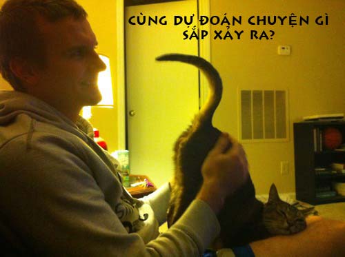 ảnh vui,ảnh cười,thư giãn,hài hước,ảnh tếu,động vật