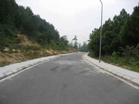 yêu râu xanh,hãm hiếp,cưỡng bức,hiếp dâm