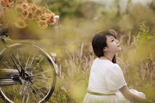 Thái Trinh,The voice