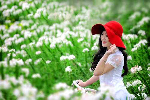 Nữ sinh,Phạm thanh tâm,nữ sinh truyền hình
